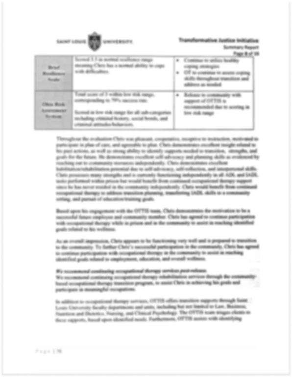 Blurred portfolio report page